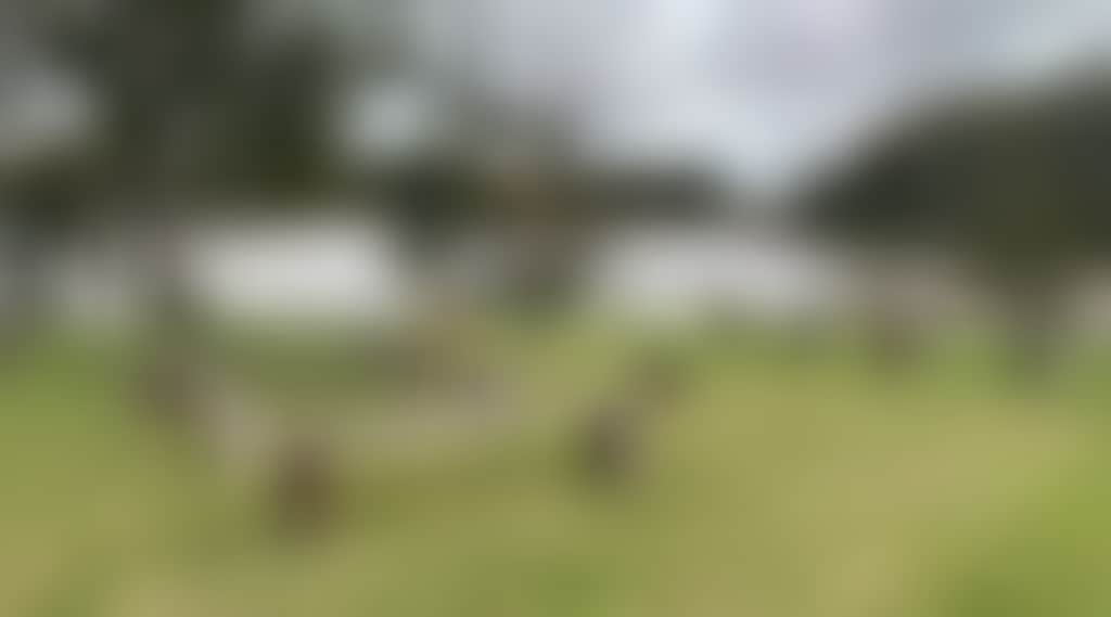 6A079E324B4907E8E4A8E85E9D2Ae64B