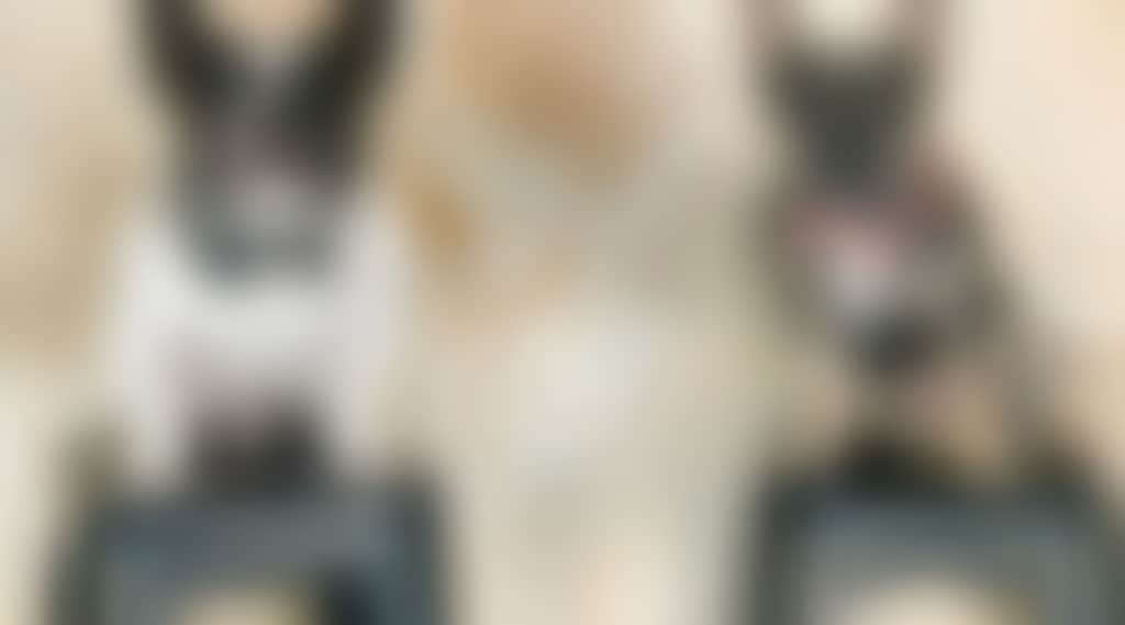 Ebe04310Ce71Cad32Fb09210018C02F9