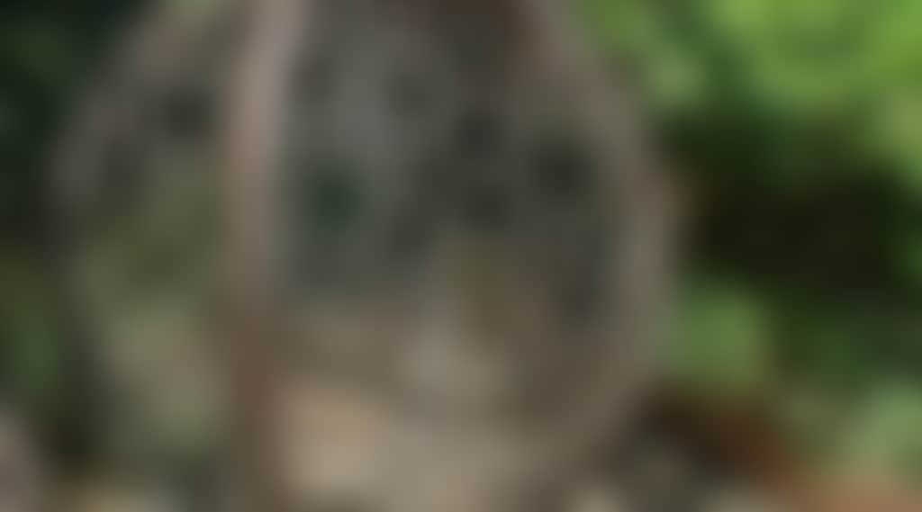 6F0C1C2D6Bedd697415B5Bee617E8343