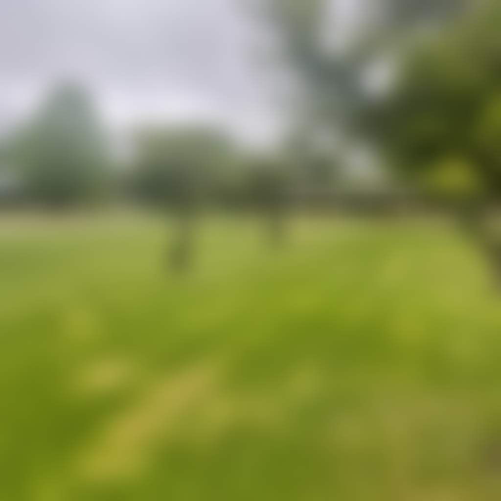 A40F2Dd8D643E6A8763B11F00C72680B