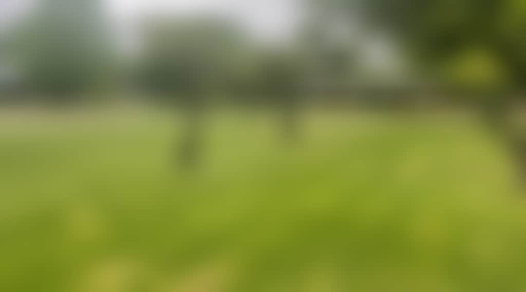 A40F2Dd8D643E6A8763B11F00C72680B