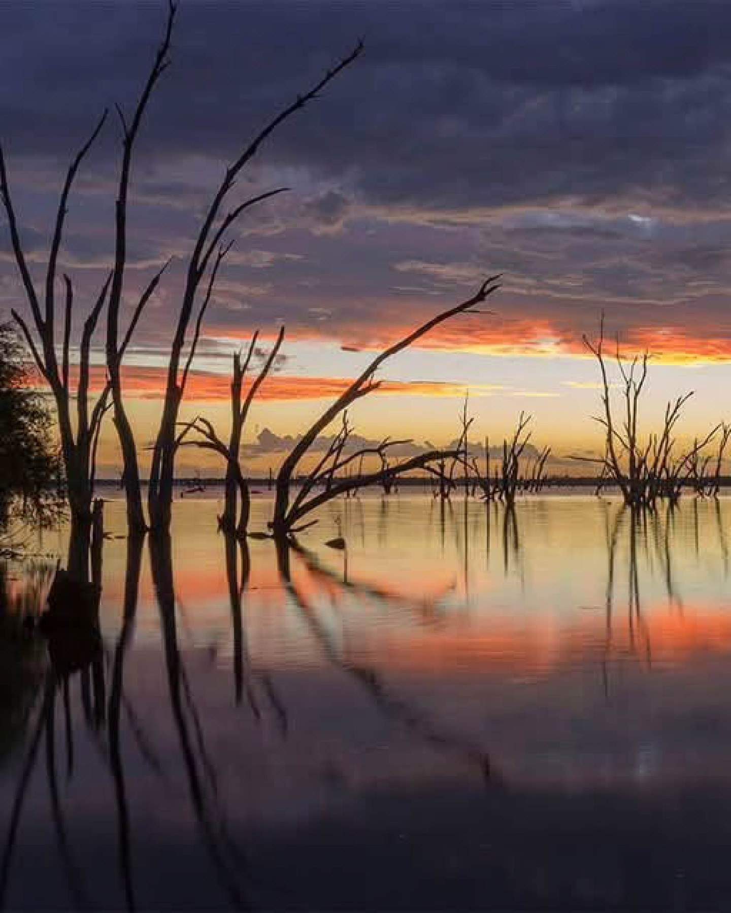 northofthemurray