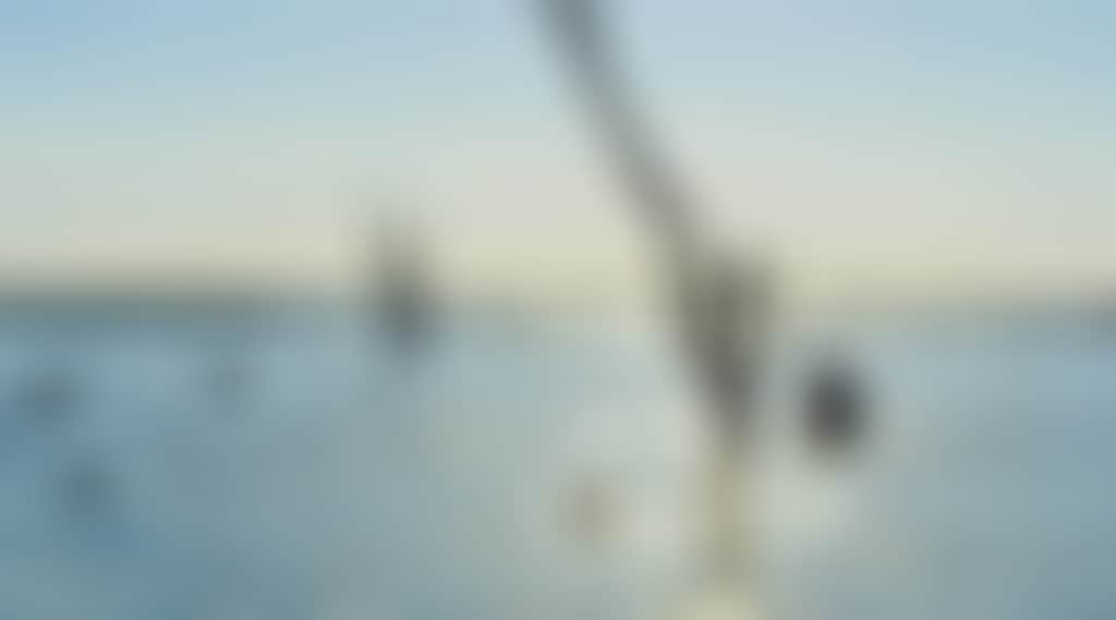 8Aebbad1134E6F78C0142667602Aea48