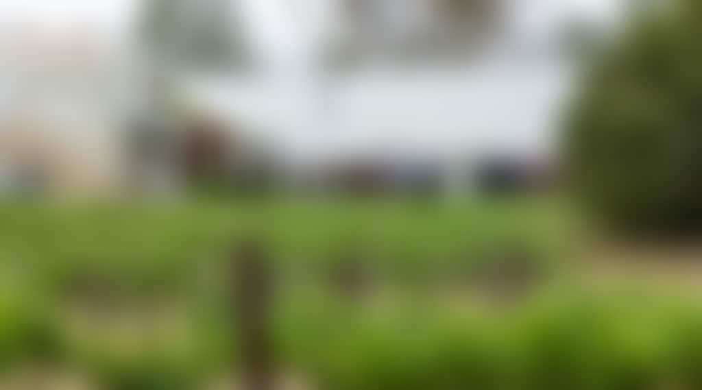 89Dc2Cbf799874E939352E4F8D04Eda6