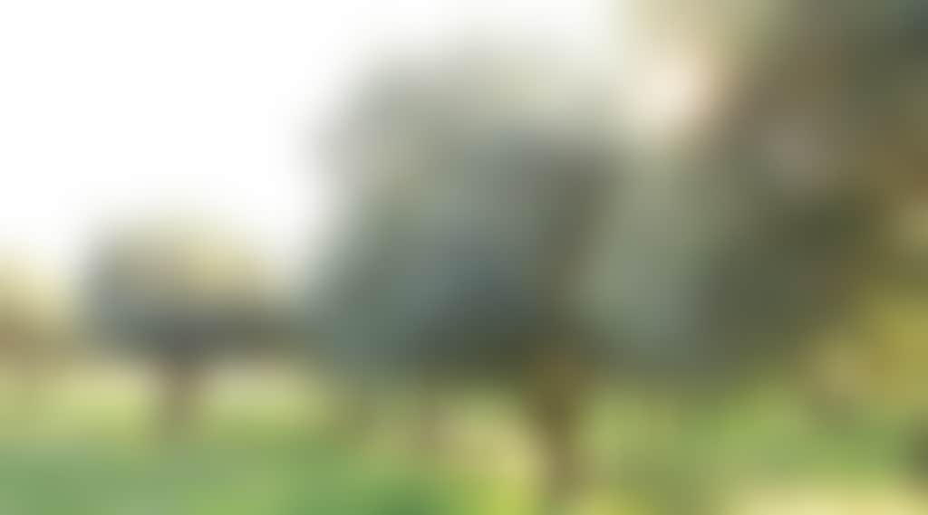 129430C8E802296502C6189Bf228Dadb