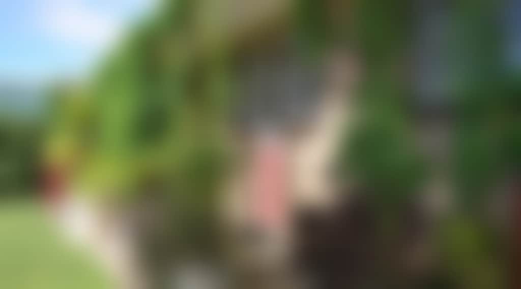 Original__9465035_Cd34_Back_Of_House_9Rjku6B