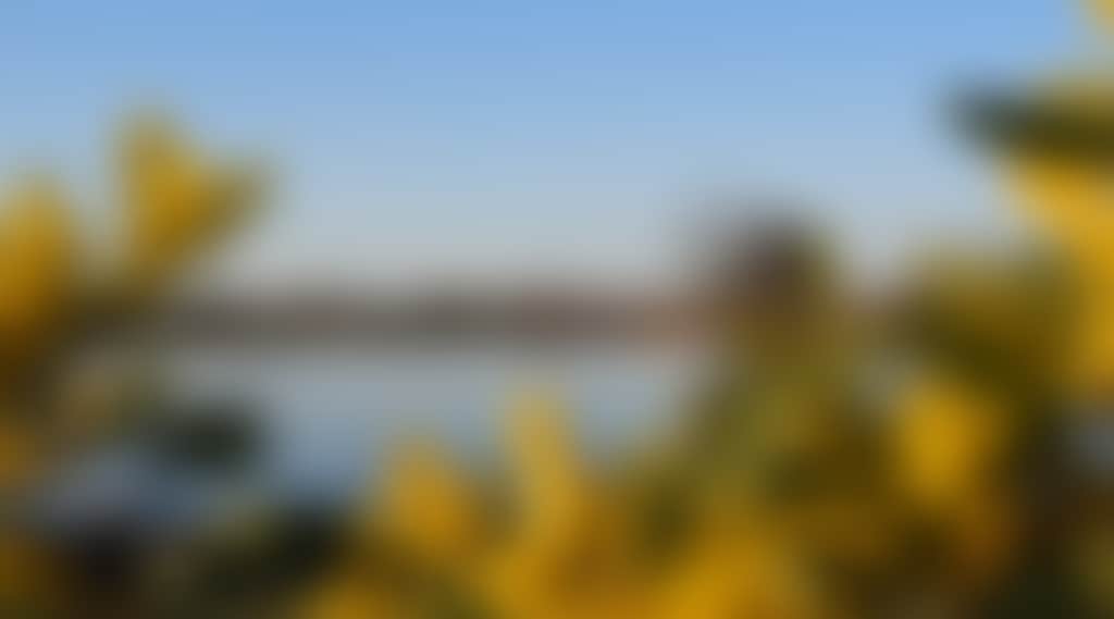 C7B1D4D20C4C9C7C6A27A752732E3521