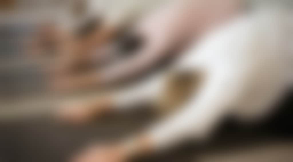 C5D1816Ae04C3A22365351632Fd63Da7