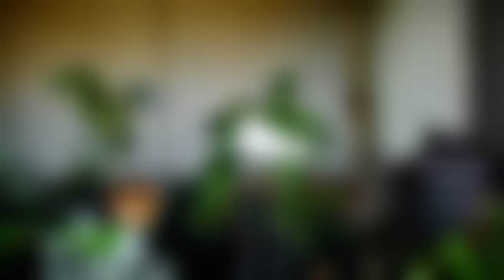 B878D47F13Cc0Dafb3F0C63A4E1Ec05B