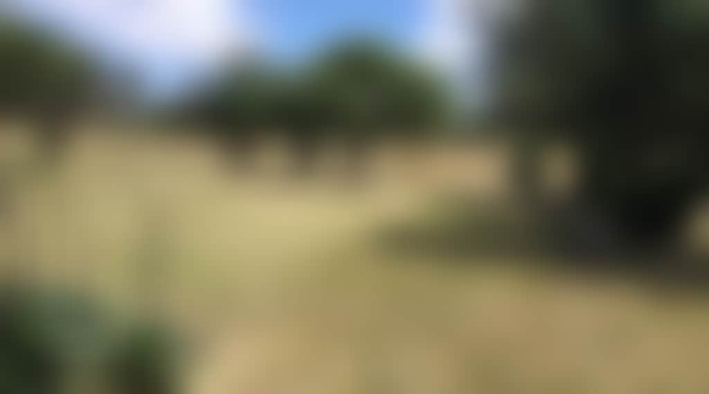 Gpdzap4U3Xicovcbnjux_Sxyhh9I