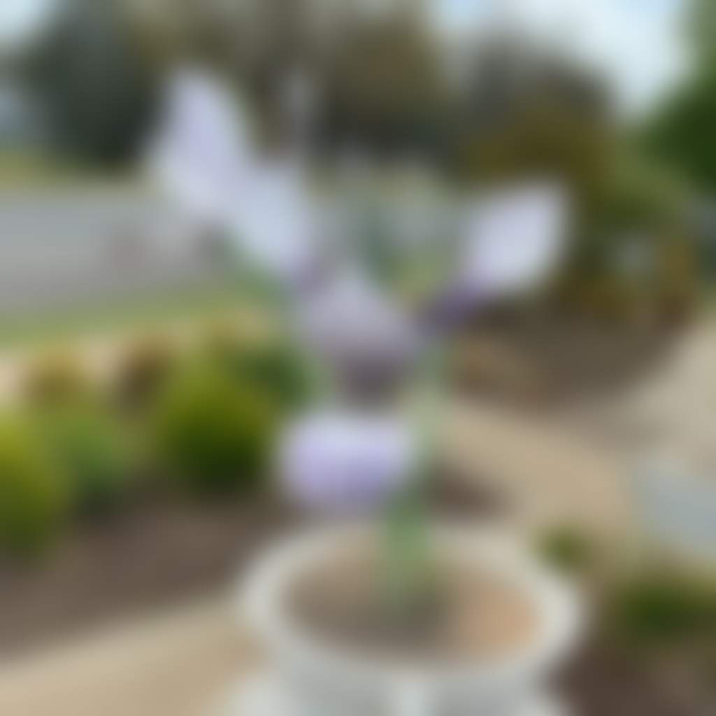 F1C9Aeff4B48E53594C5D5A0B4D68F5E