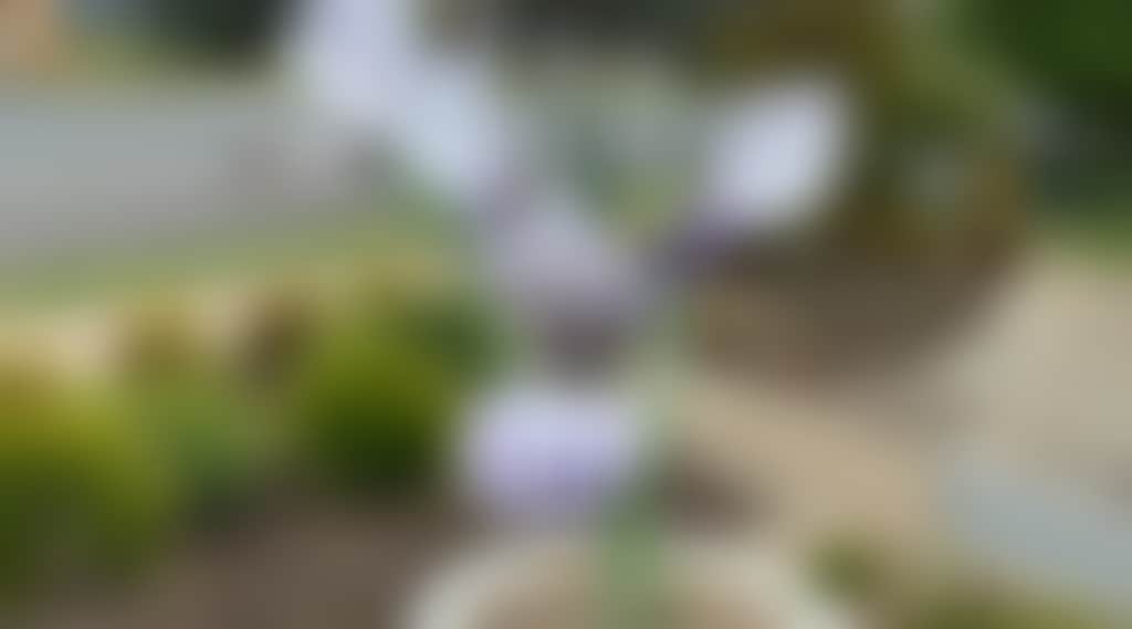 F1C9Aeff4B48E53594C5D5A0B4D68F5E