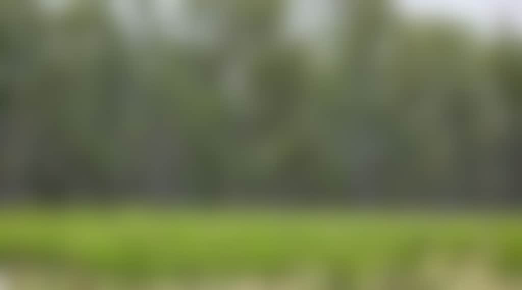 36F43D5377790Be7Dbcb76776420B94B