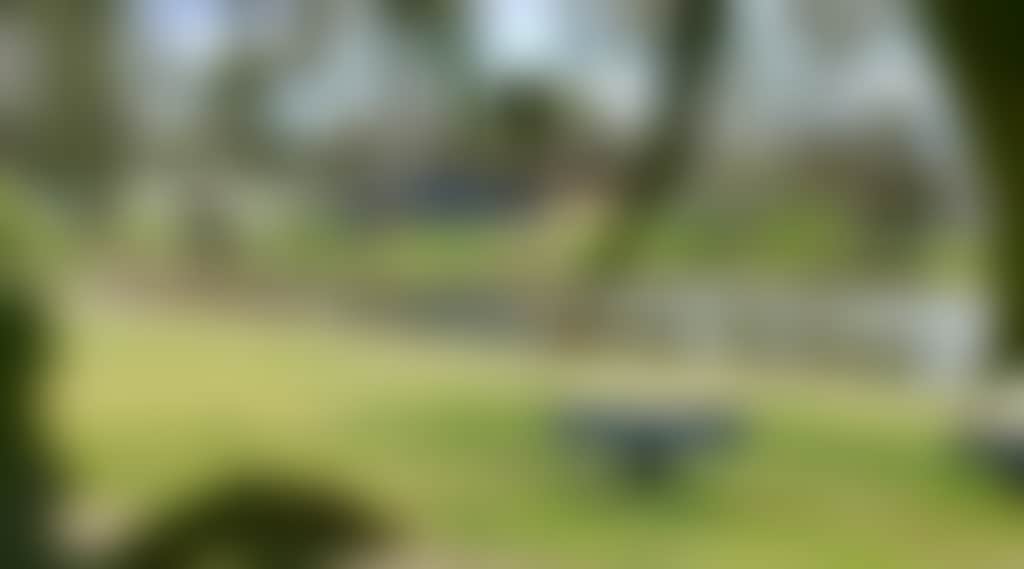 886B44594C201F03D036E0Fca04921D0