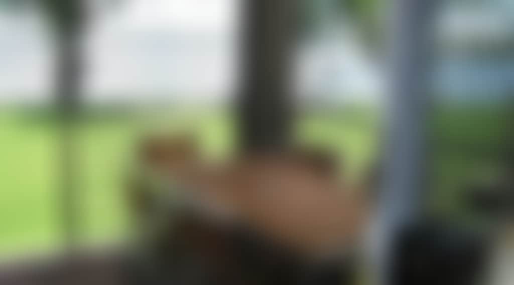 A8C566Bfe6A098B78Fa7Fe6B5885902F