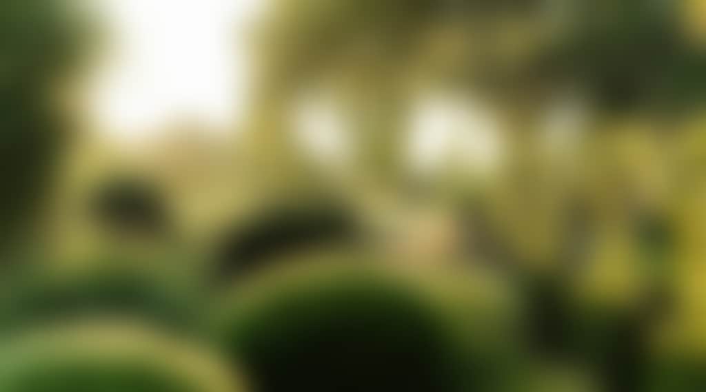 F8Aff3D848Eab950Ecf3B042F28Caf5C