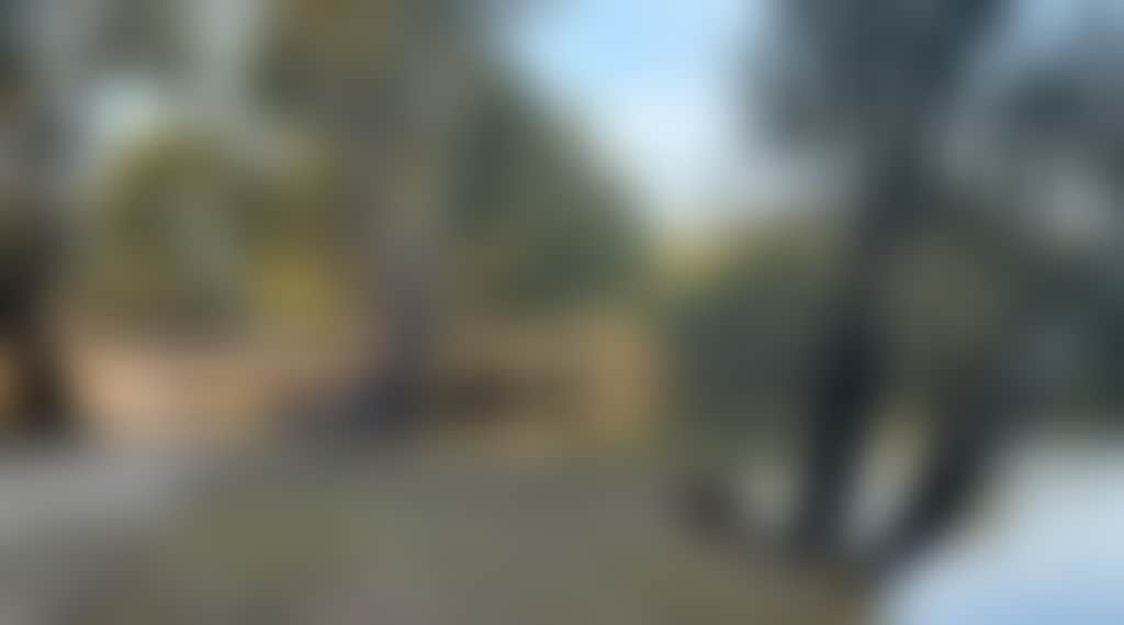 914Ae70B2Ebda766B484D53Eba2D2131