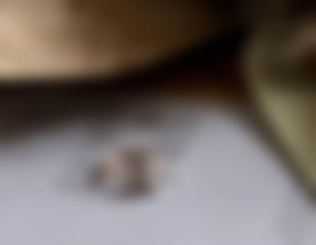 Jason Robbins Photography Rings