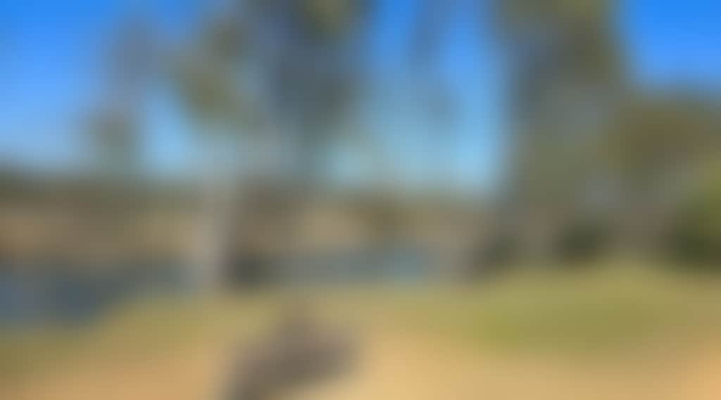 7D020Cc8E00B03Df359769B8Dab32Fcb