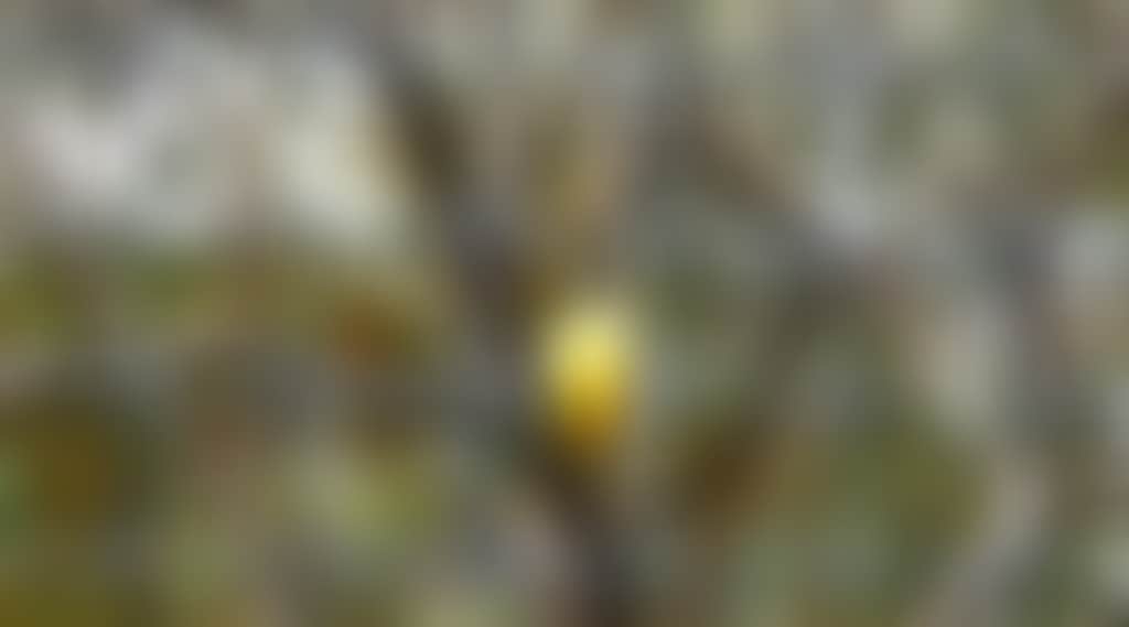 4Ed29771Fb04Ffd68785Bf700D3A7B2A