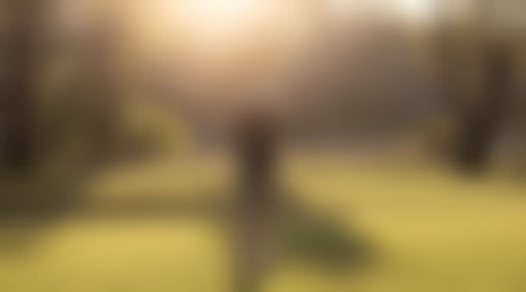 186320A0Afacbc075Ff0D0Ee1603Ccf1