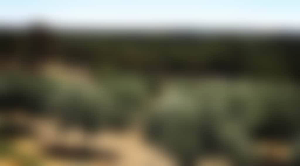 26508A7Def6C18Afce6981B2623E0Fc7