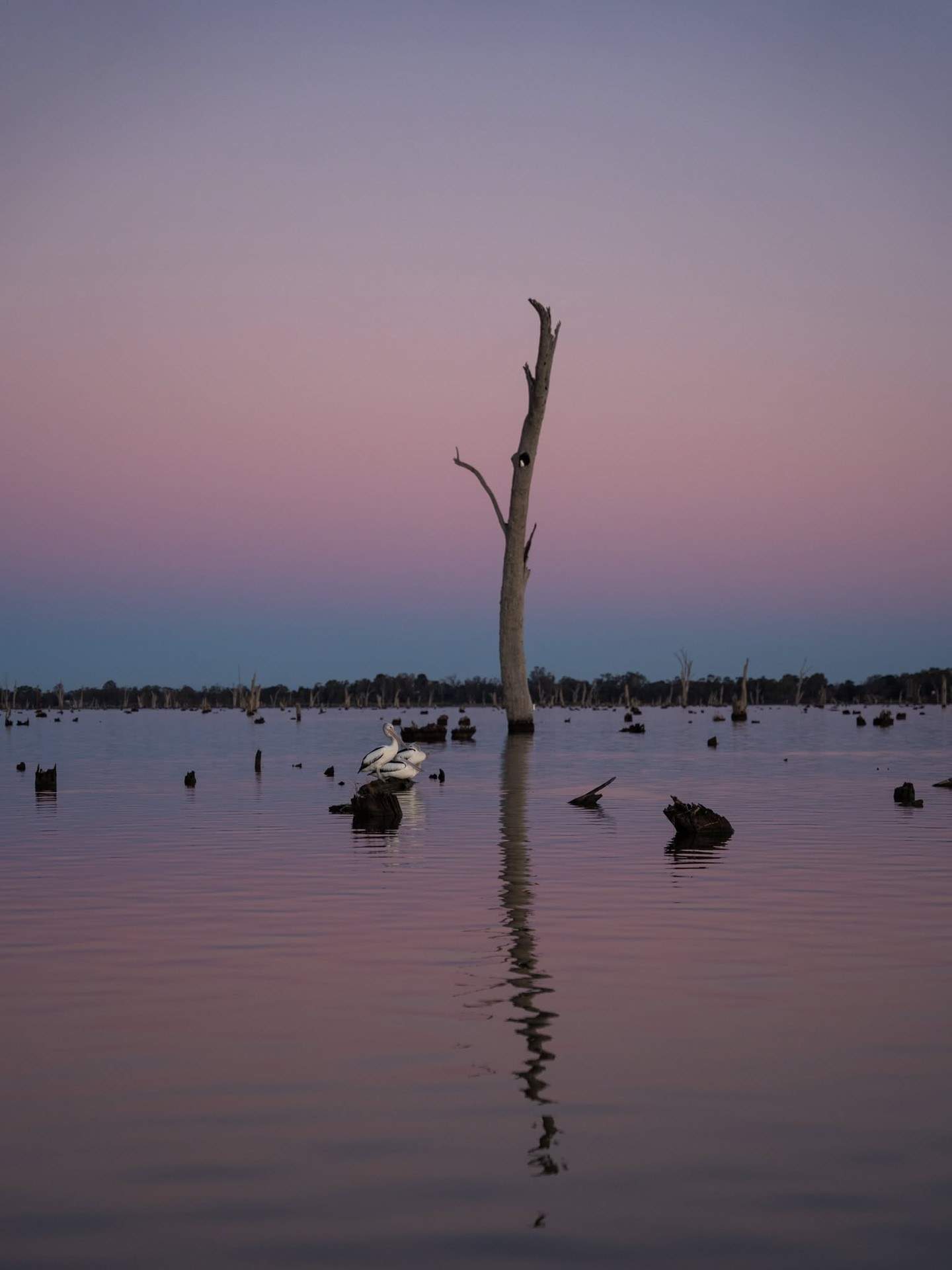 northofthemurray