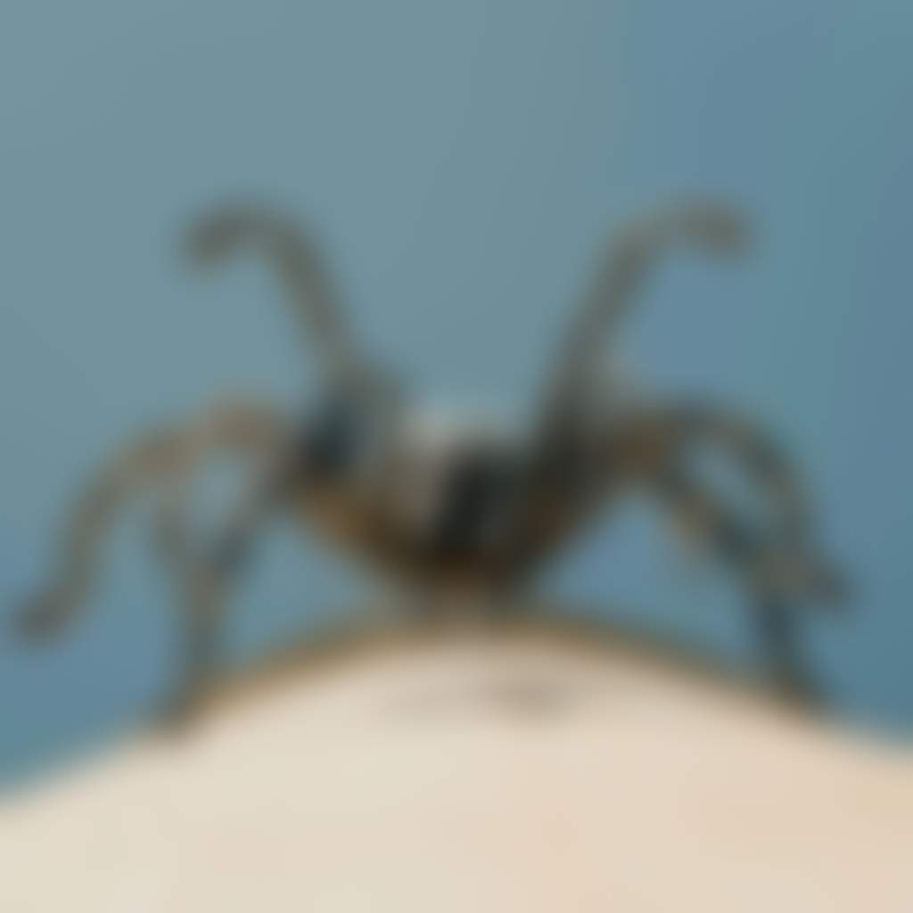 B6B0C4A6Efa90D0C30A2A8C79C25Bc93