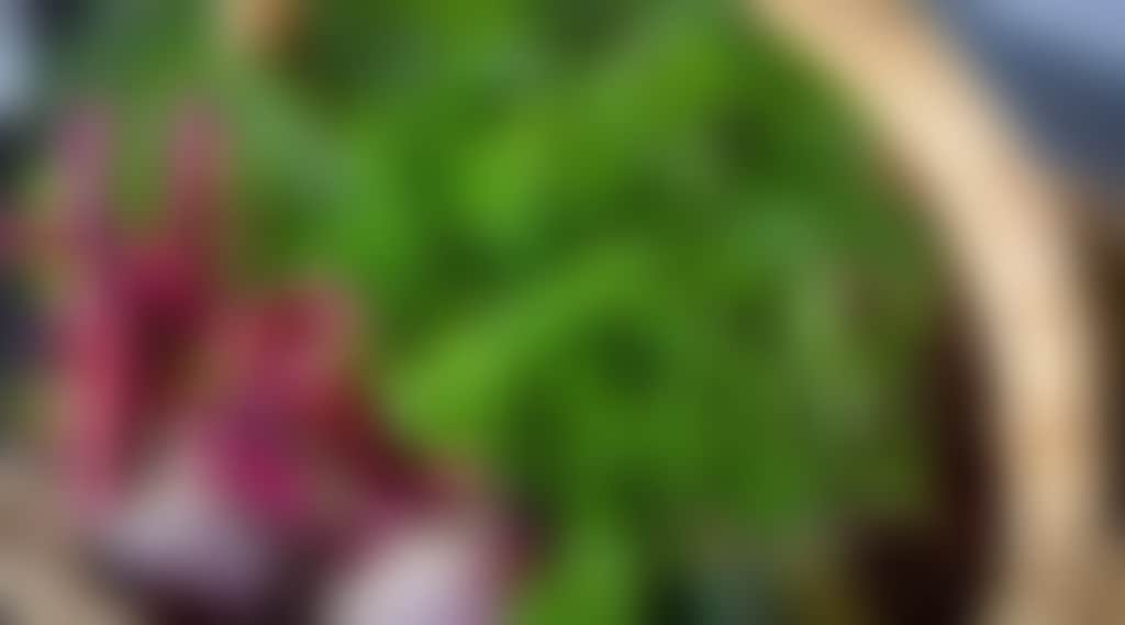 34Ec78A8173B55F821418634Baba2E6E