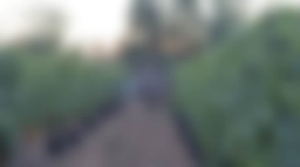 3Cac6Dc8A9795D3109E489156315768F