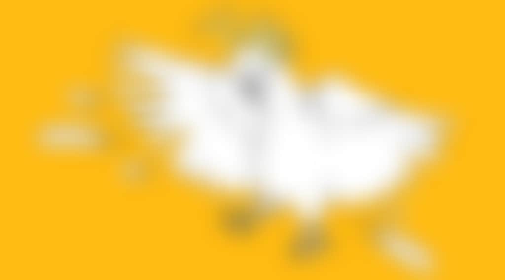 743878Af18Ef6Cc82257C2563847C2D4