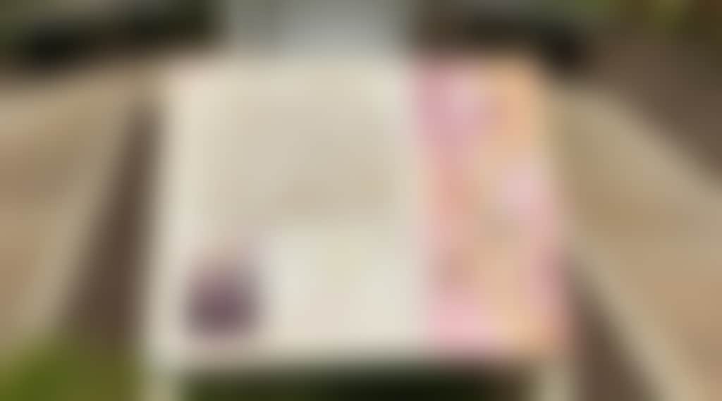 0A2Ceb61Aa356C794169Bcd4Fe71Edaf