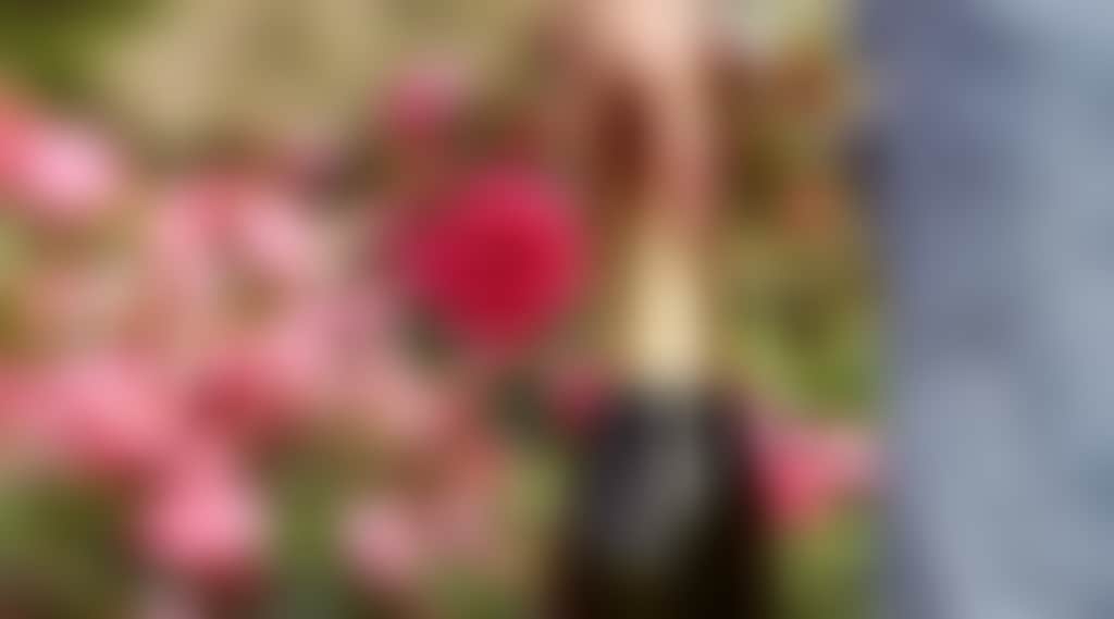 8Cbfccbb8B3F98Bef40A10F9539C7152