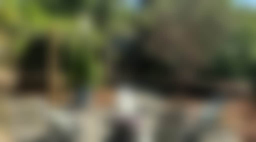 C6247611D9A45Ff08B5450C8580Add5B