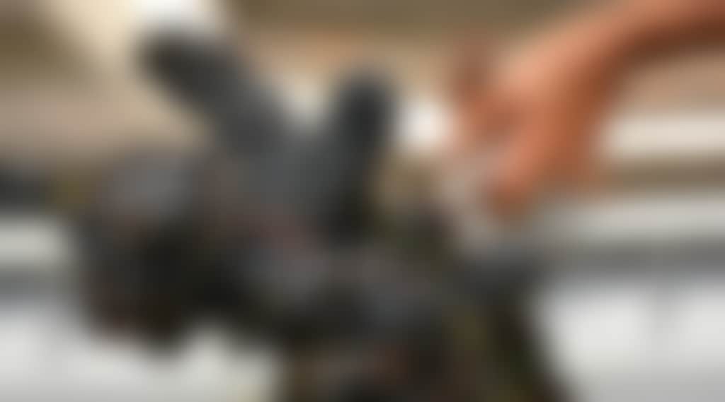 5Dd4C8D1B028474359601Aab867D8008