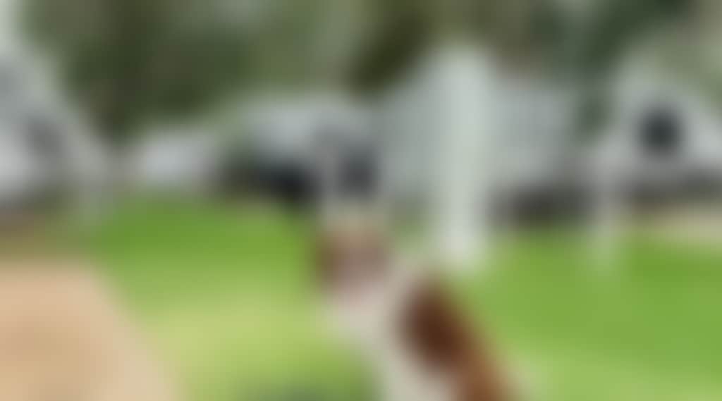 72C714050729Cc486623E8A5016Ea44B