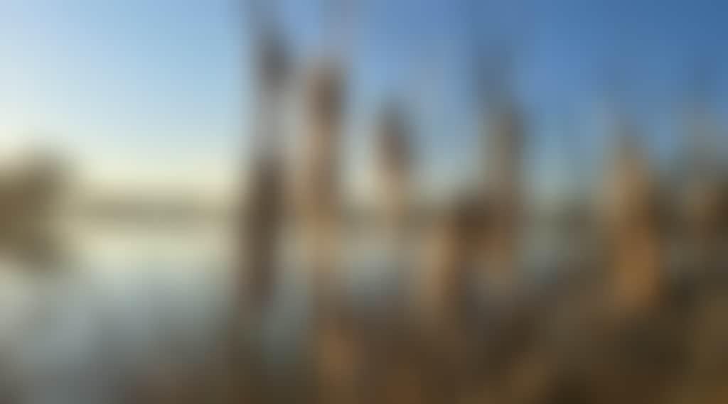 292Ab8Ac8D0Bae715A9De4Dde60Ef020