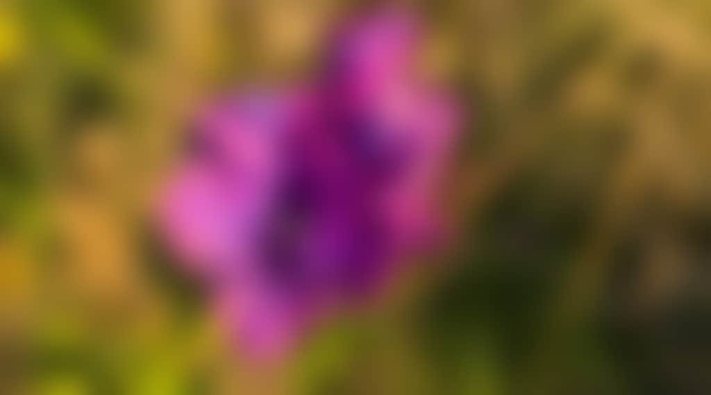 E89424Fcf75C737D4F60193610865310