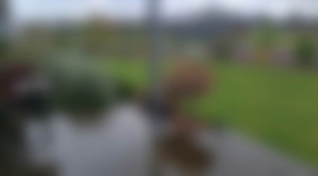 5F5576F1A71700Db25B7422910Aed127