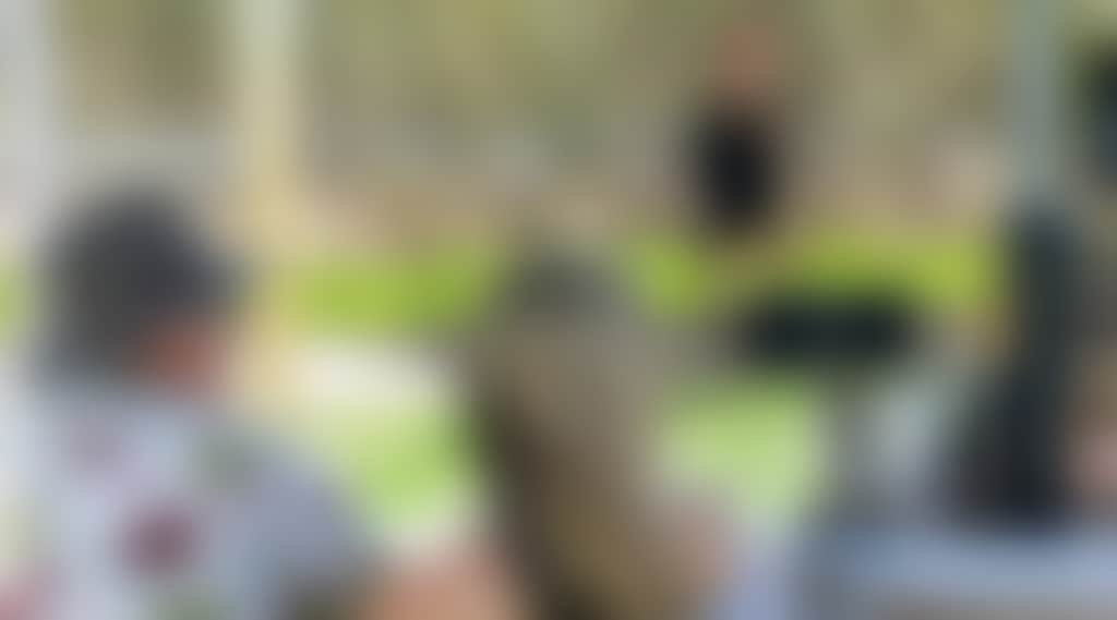 E6D7580D022De577A41A4823B359E769