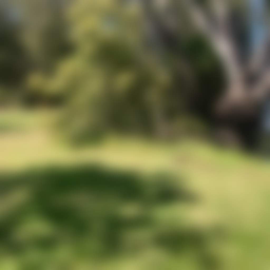 Banks-Of-The-Murray-Corowa-Riverview-Campsites-On-The-Murray_Cr0Ruvw