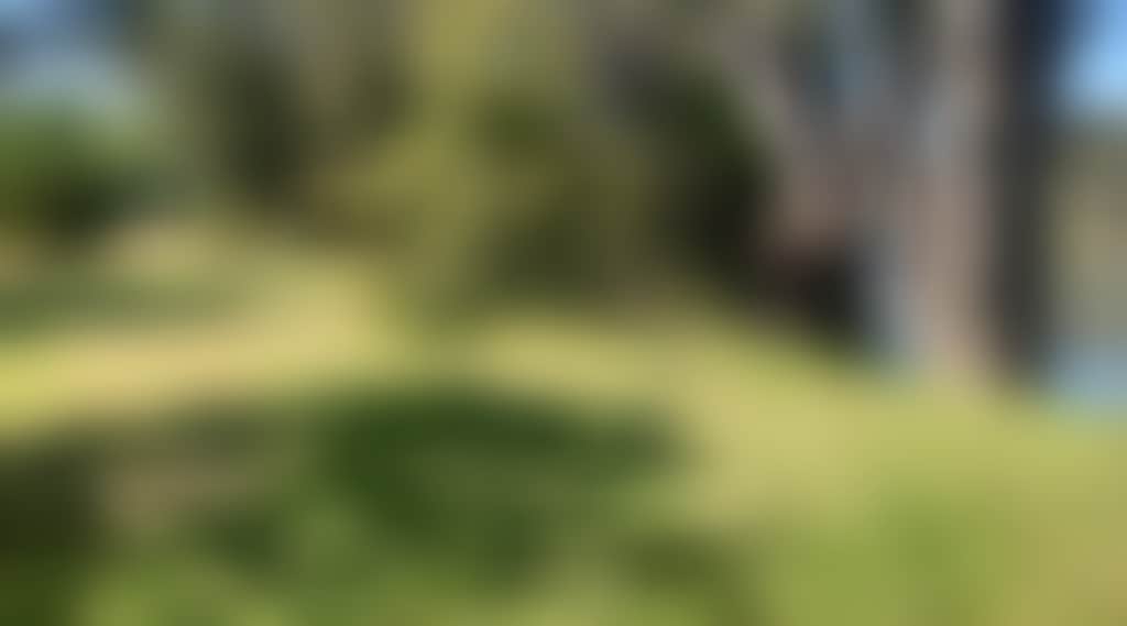 Banks-Of-The-Murray-Corowa-Riverview-Campsites-On-The-Murray_Cr0Ruvw