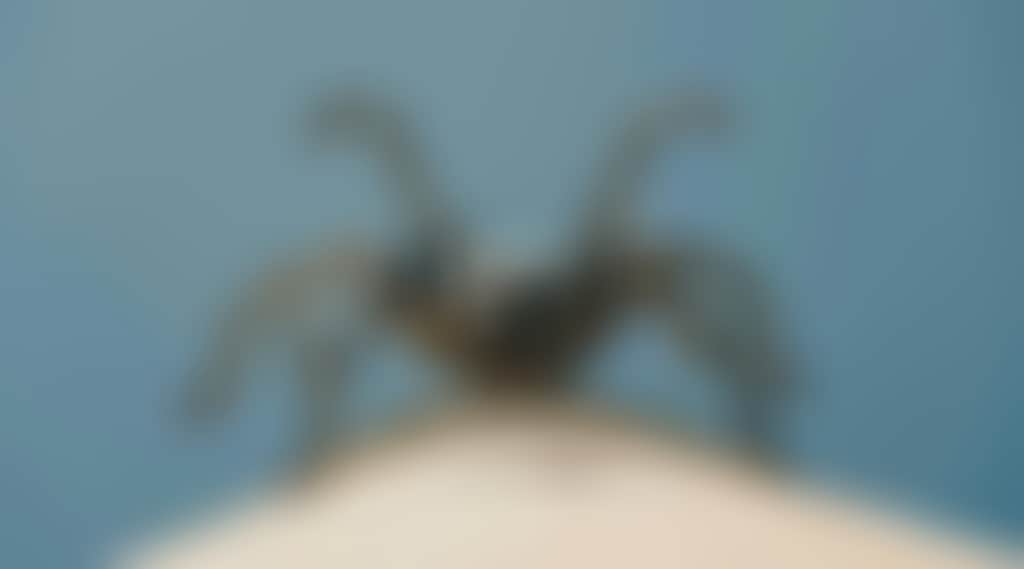 Ee7D5D56D662Aec7Adf05E5B77209E84