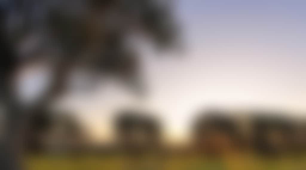 3383533D0Dff37260A2857963D1E8Ea1