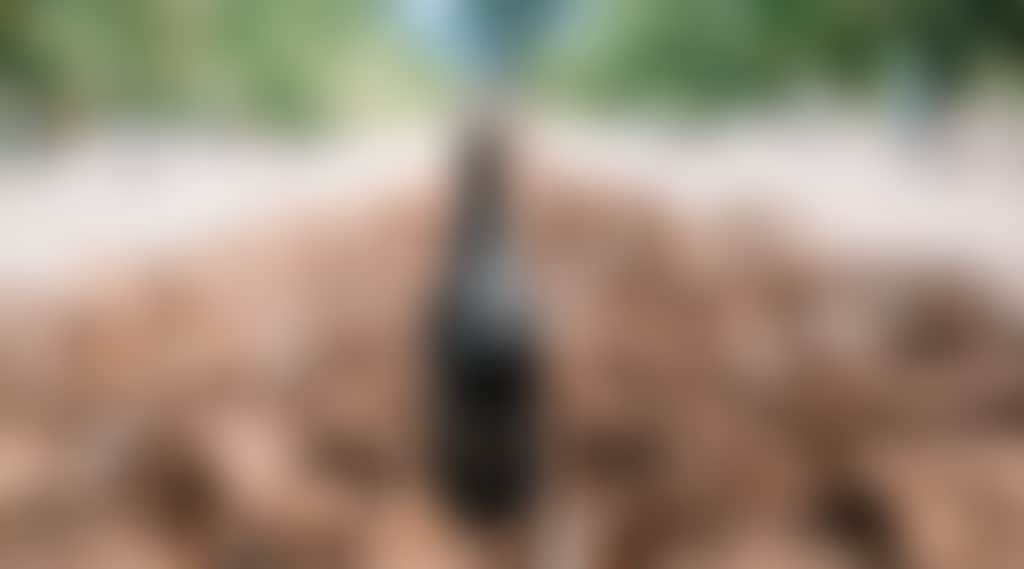 7E487Fe45Fc892Ebeb919Afe4147D7C2