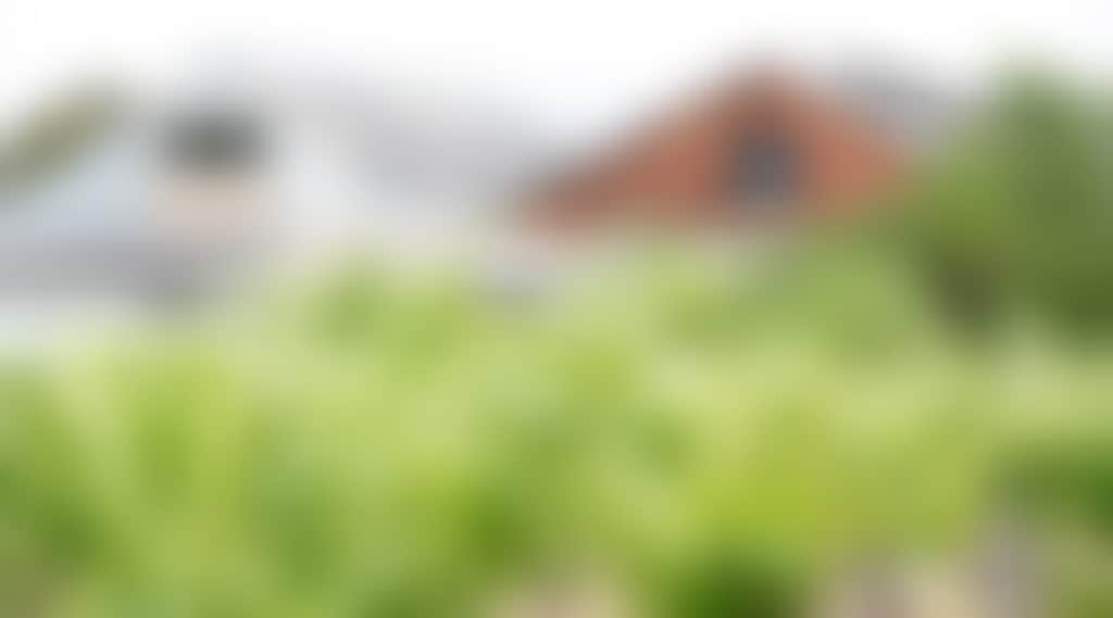 Ab346E13D75F2453Db5670254B7B86D7