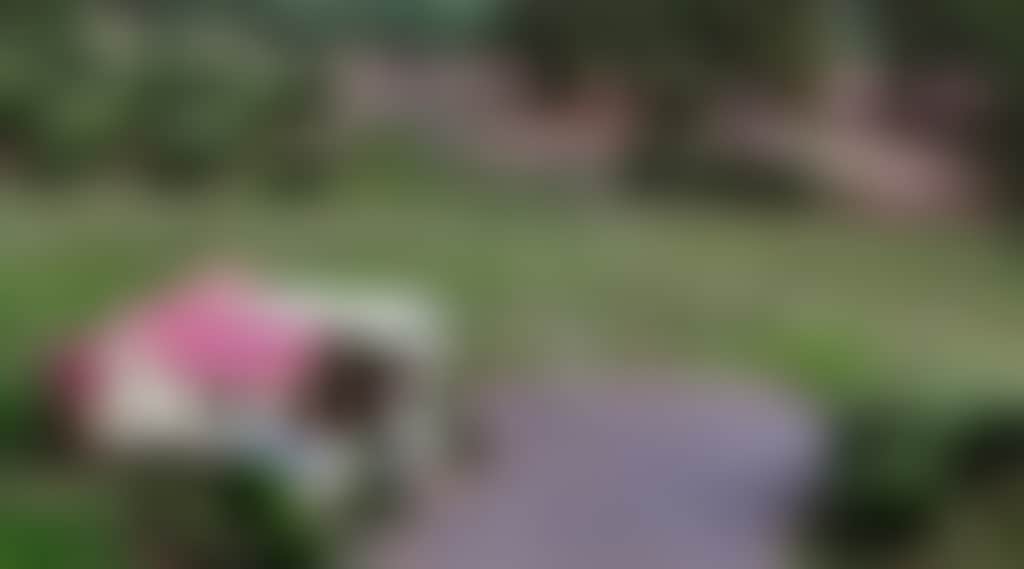 06Dc6B0Ee1275B41B32Cecd03Caa4B55