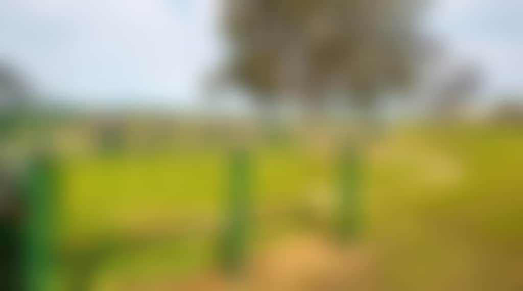 2Ad4475A85F3Aa6A1Ee0563B7E4F6096