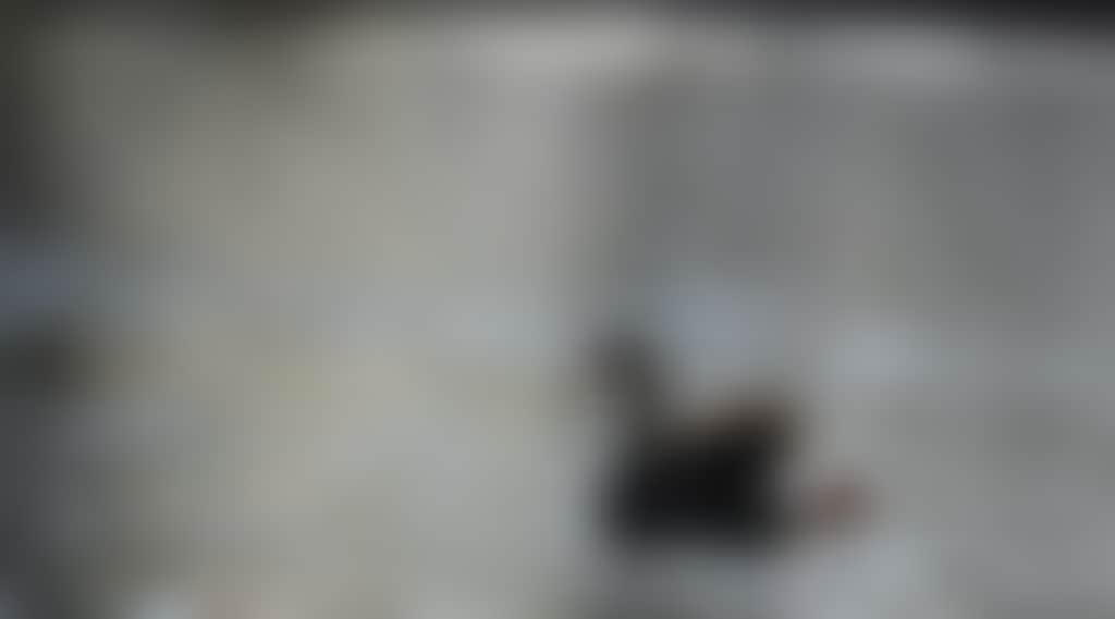 D6785Be0D194Ab416Fbbd5Af56D2Cf65