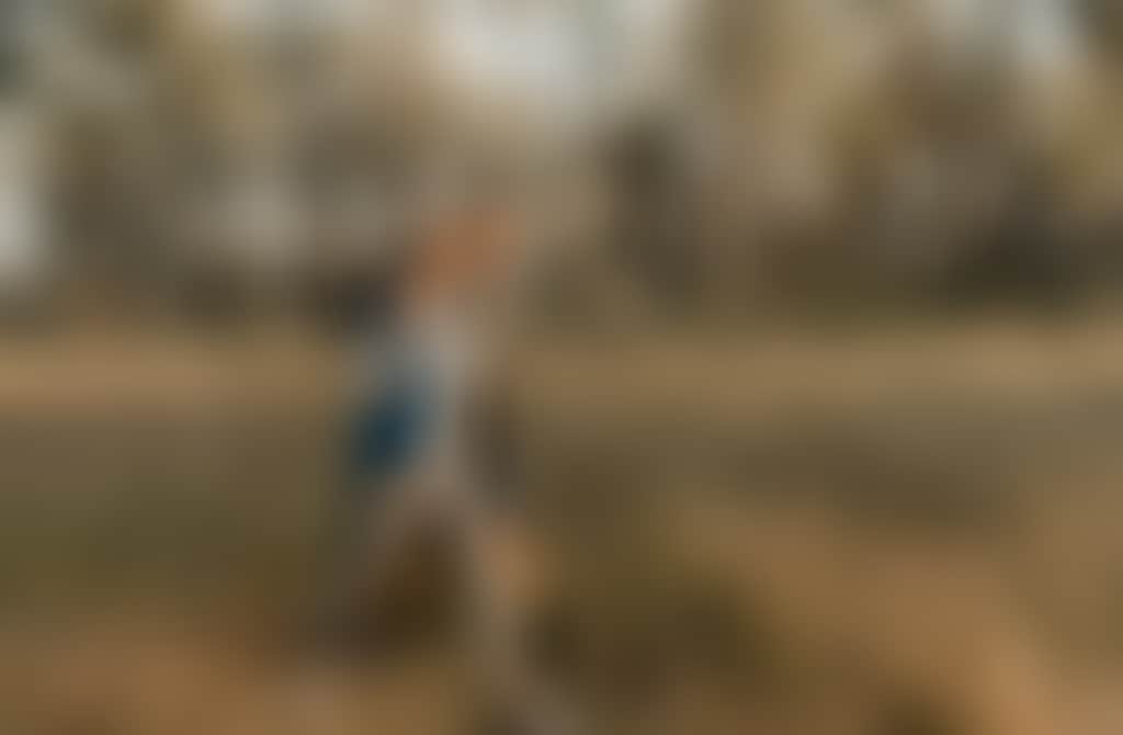 See Do Walking Cycling Nulla Redlands